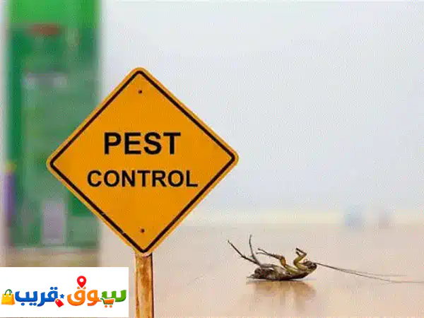 Bed Bug, Flea & Mosquito Control – Safe Treatment Muscat