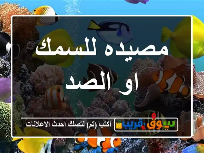 مصيده للسمك او الصد