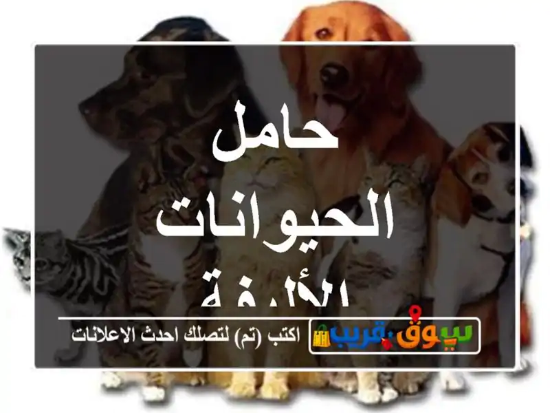 حامل الحيوانات الأليفة