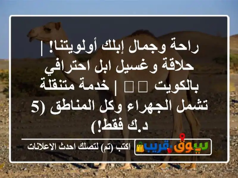 راحة وجمال إبلك أولويتنا! | حلاقة وغسيل ابل...