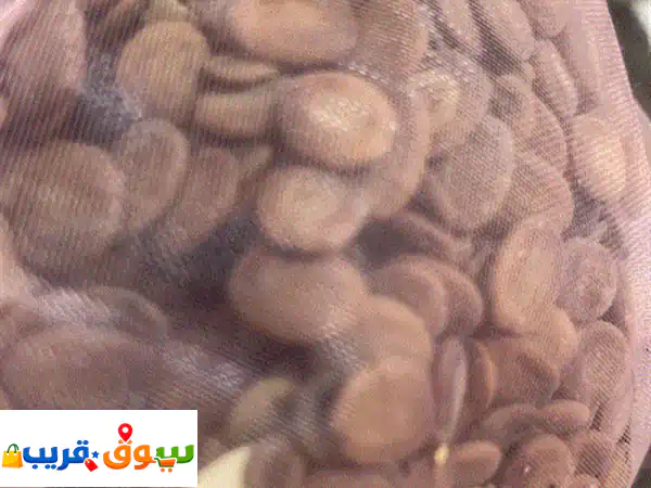 بذور إلبيزيا وحرجل للبيع: جودة عالية وأسعار لا...