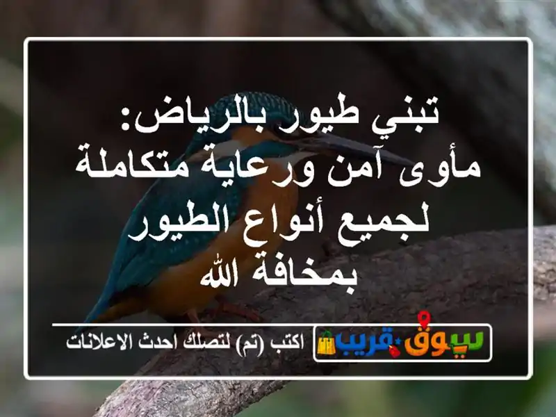 تبني طيور بالرياض: مأوى آمن ورعاية متكاملة لجميع...