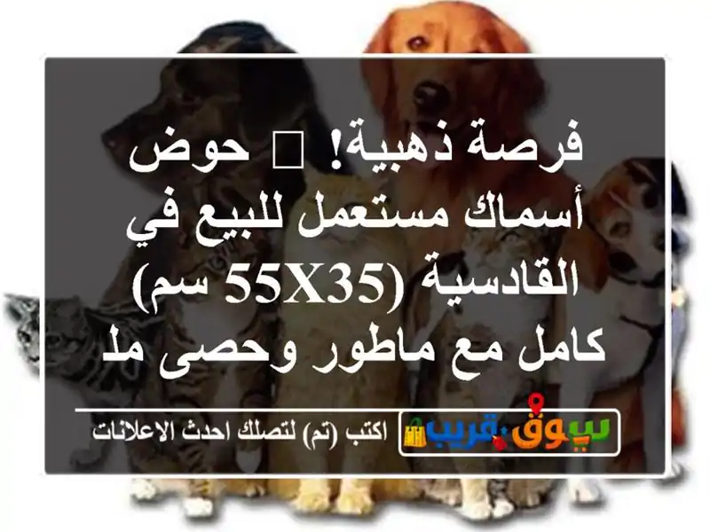 فرصة ذهبية! 🐠 حوض أسماك مستعمل للبيع في القادسية...