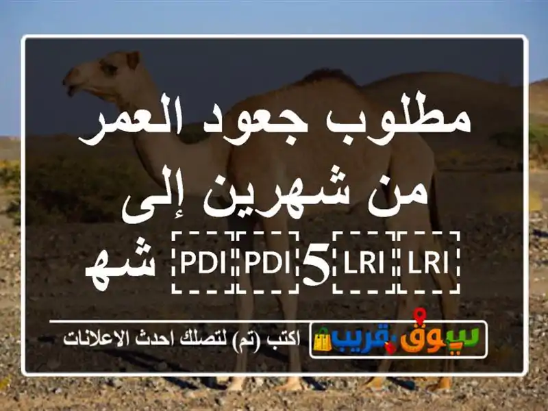 مطلوب جعود العمر من شهرين إلى ⁦⁦5⁩⁩ شهور