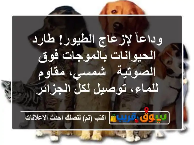 وداعاً لإزعاج الطيور! طارد الحيوانات بالموجات...