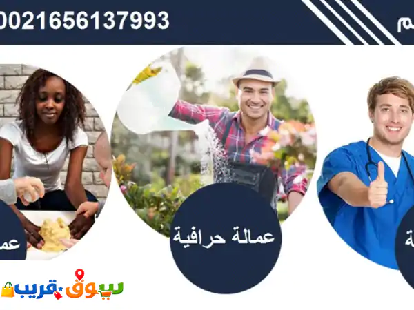 مكتب قرطاج: استقدام عمالة تونسية مدربة | عمولة لا...