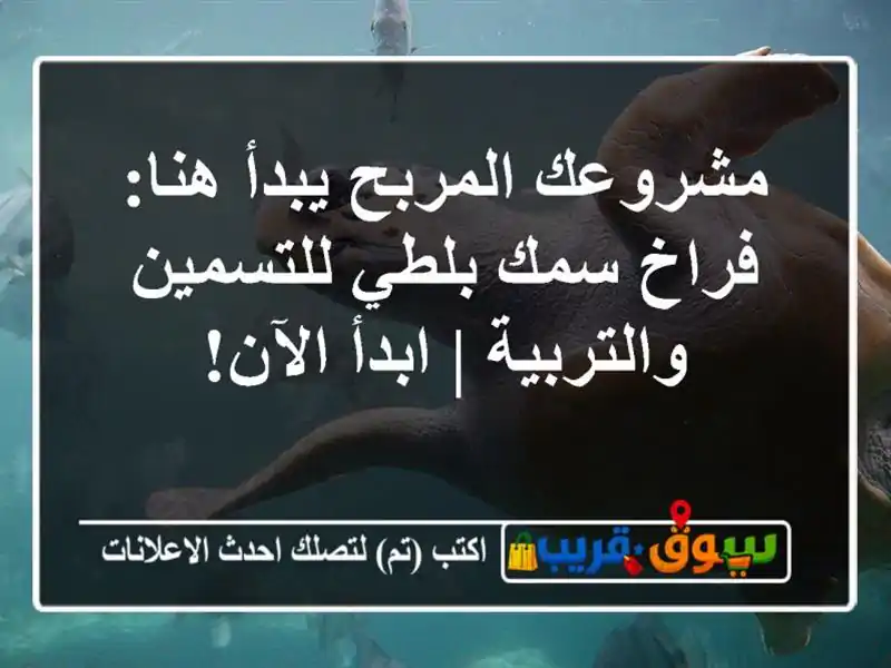 مشروعك المربح يبدأ هنا: فراخ سمك بلطي للتسمين...