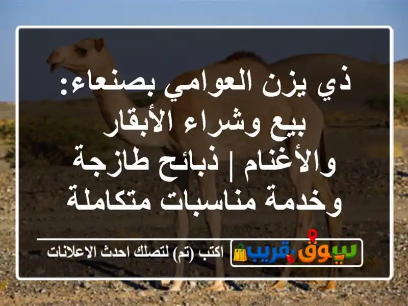 ذي يزن العوامي بصنعاء: بيع وشراء الأبقار والأغنام...