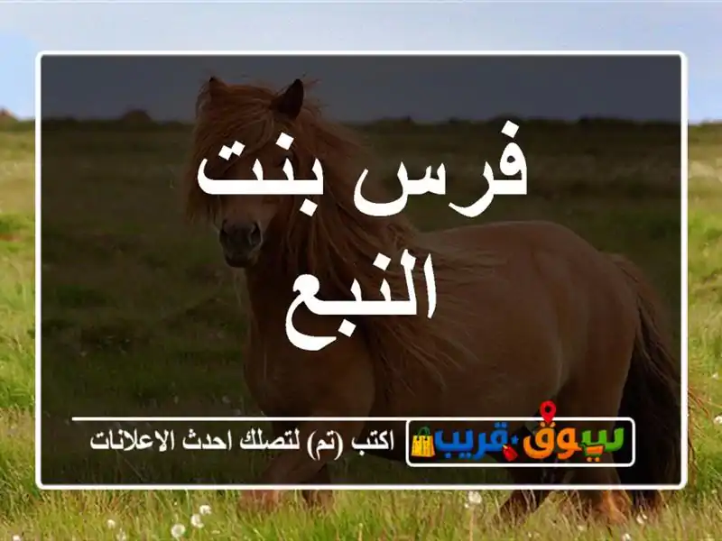 فرس بنت النبع