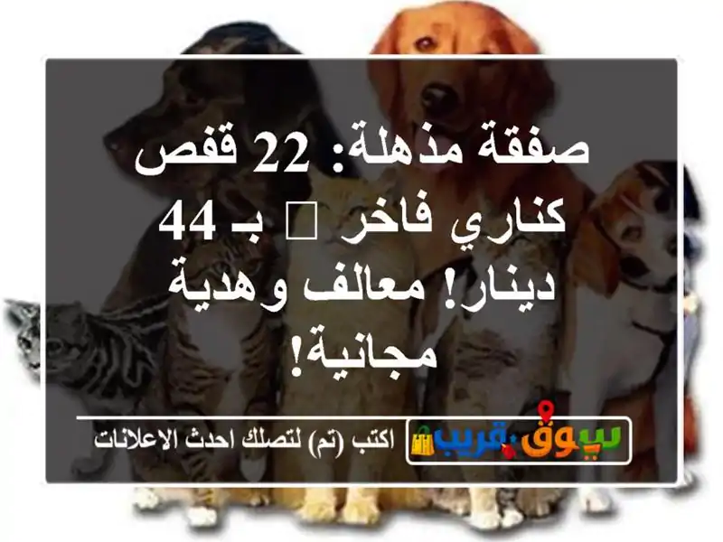 صفقة مذهلة: 22 قفص كناري فاخر 💎 بـ 44 دينار! معالف...