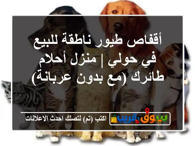 أقفاص طيور ناطقة للبيع في حولي | منزل أحلام...