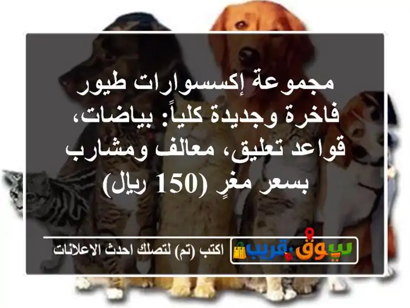 مجموعة إكسسوارات طيور فاخرة وجديدة كلياً:...