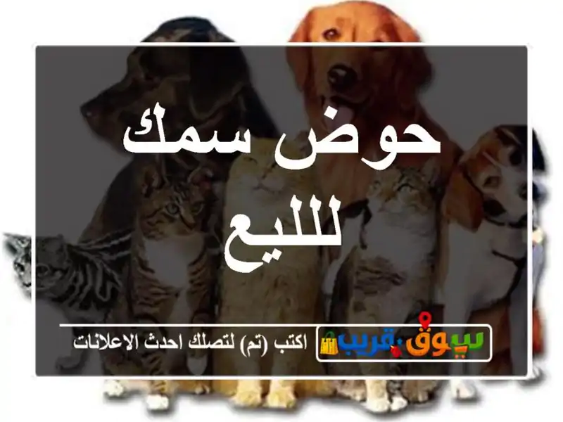 حوض سمك للليع