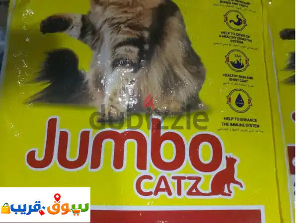 cat food (dry)