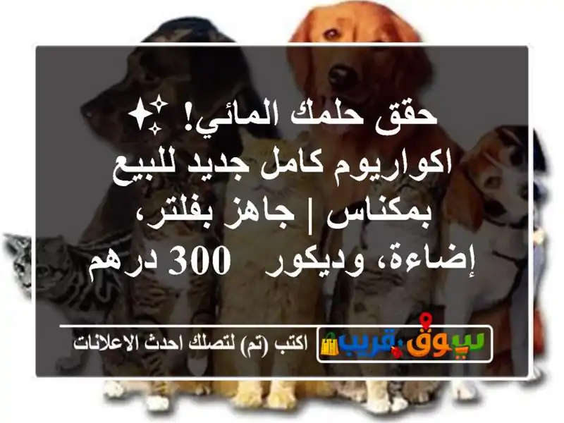 حقق حلمك المائي! ✨ اكواريوم كامل جديد للبيع بمكناس...