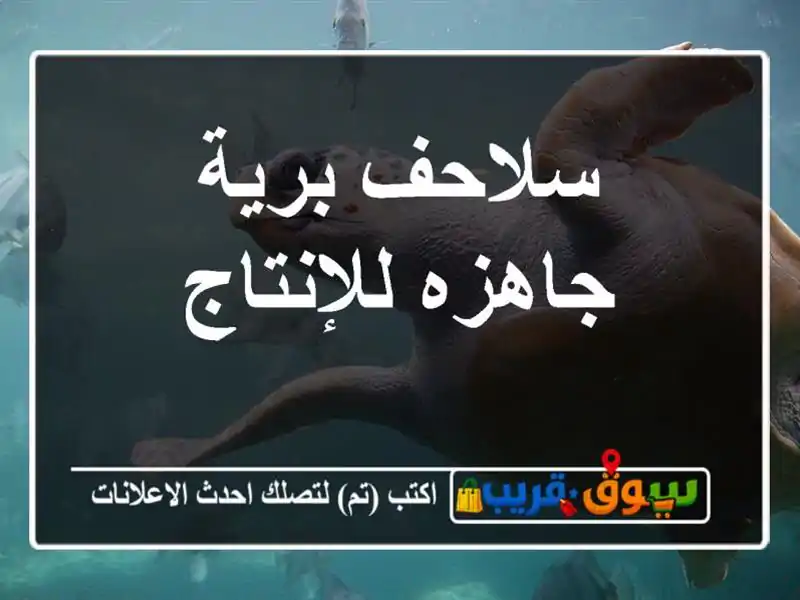 سلاحف برية جاهزه للإنتاج