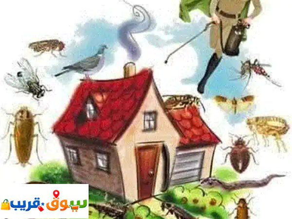 مكافحة حشرات حفر الباطن والقيصومة | وداعاً...