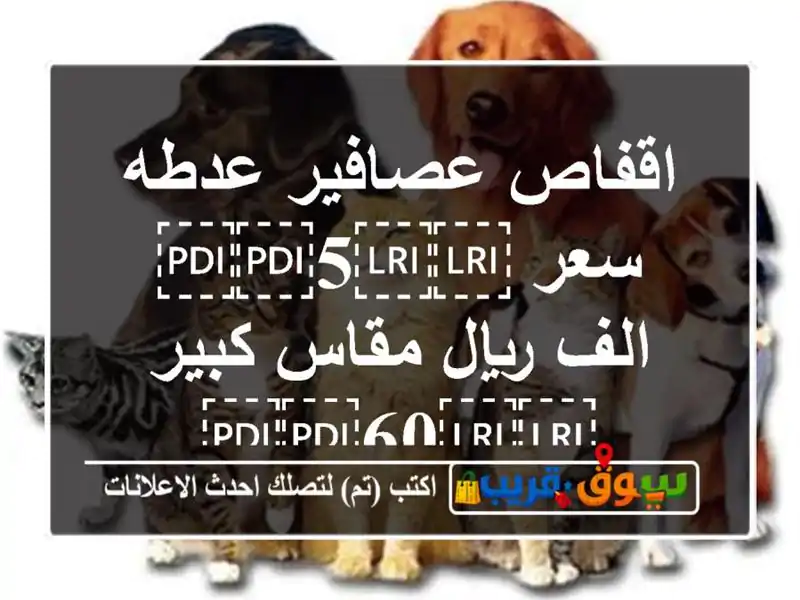 اقفاص عصافير عدطه سعر ⁦⁦5⁩⁩ الف ريال مقاس...