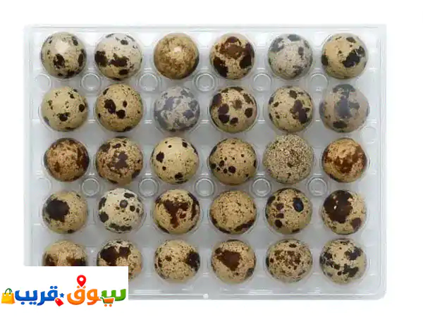 organic farm quail & chicken eggs for sale