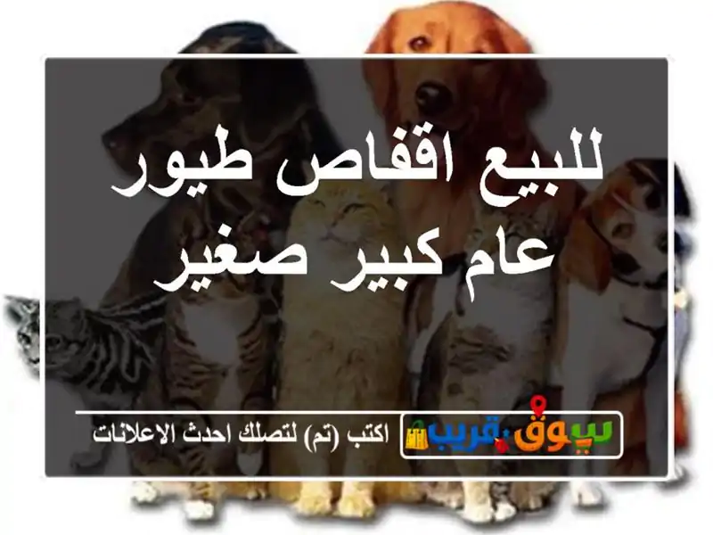 للبيع اقفاص طيور عام كبير صغير