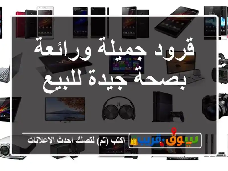 قرود جميلة ورائعة بصحة جيدة للبيع