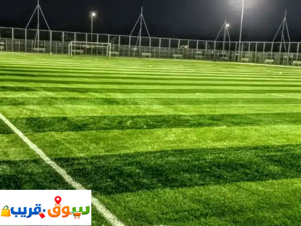 ملاعب برو التوريد الملاعب الرياضية والعشب...