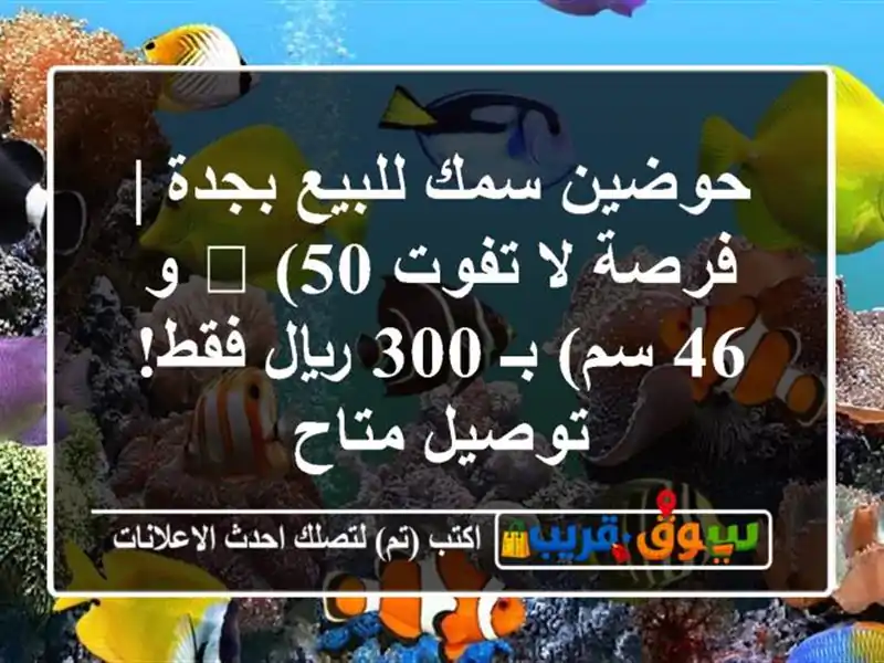 حوضين سمك للبيع بجدة | فرصة لا تفوت 🐠 (50 و 46 سم) بـ...
