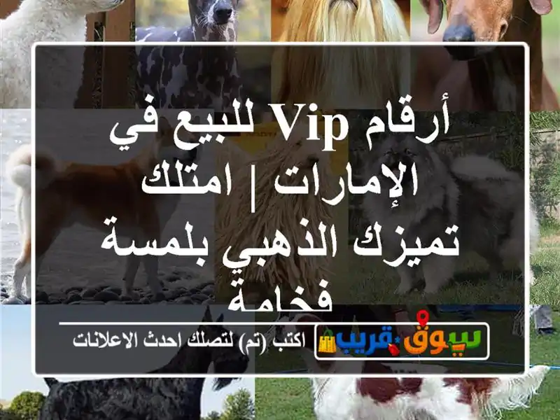 أرقام VIP للبيع في الإمارات | امتلك تميزك الذهبي...