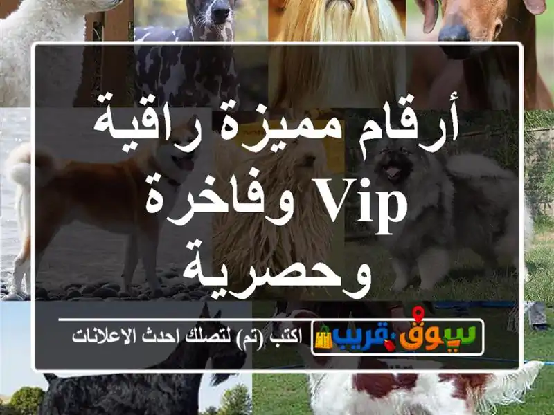 أرقام مميزة راقية  VIP وفاخرة وحصرية