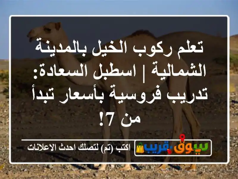 تعلم ركوب الخيل بالمدينة الشمالية | اسطبل...