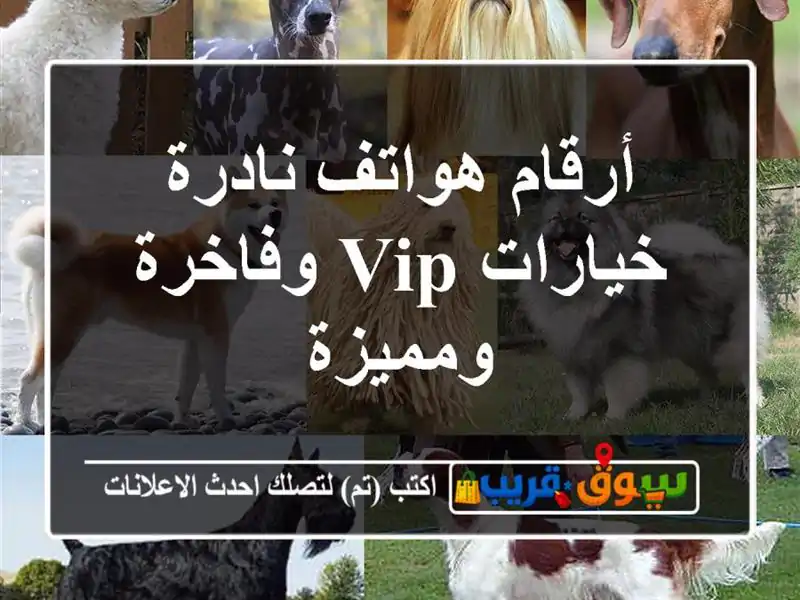 أرقام هواتف نادرة  خيارات VIP وفاخرة ومميزة