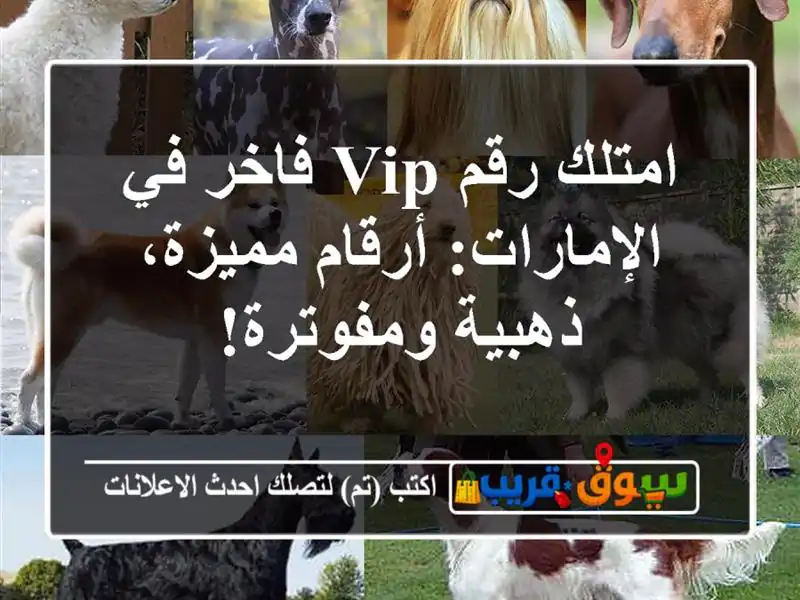 امتلك رقم VIP فاخر في الإمارات: أرقام مميزة،...