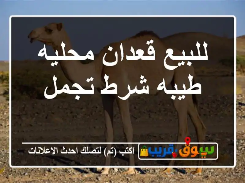 للبيع قعدان محليه طيبه شرط تجمل