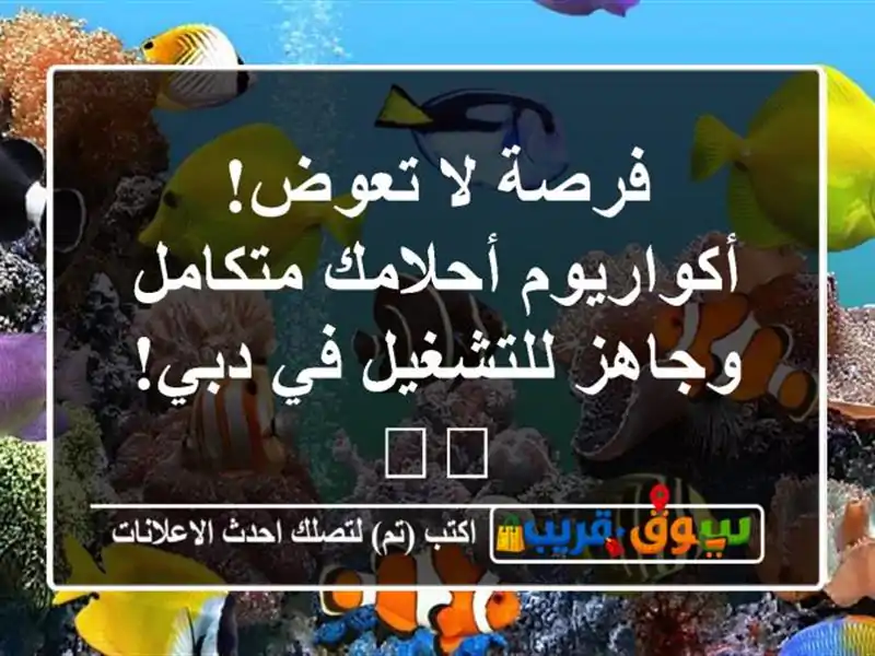 فرصة لا تعوض! أكواريوم أحلامك متكامل وجاهز للتشغيل...