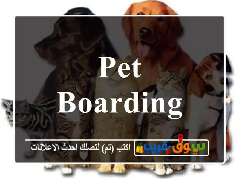 Pet Boarding