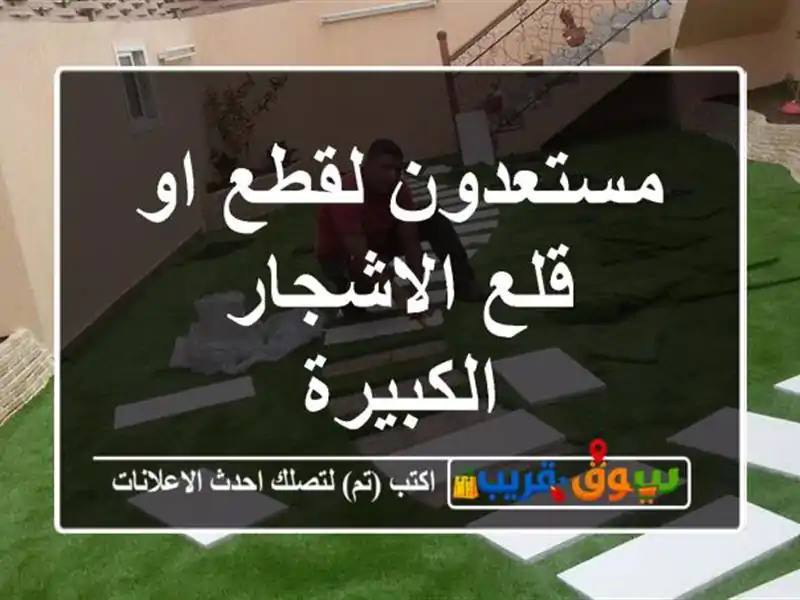 مستعدون لقطع او قلع الاشجار الكبيرة