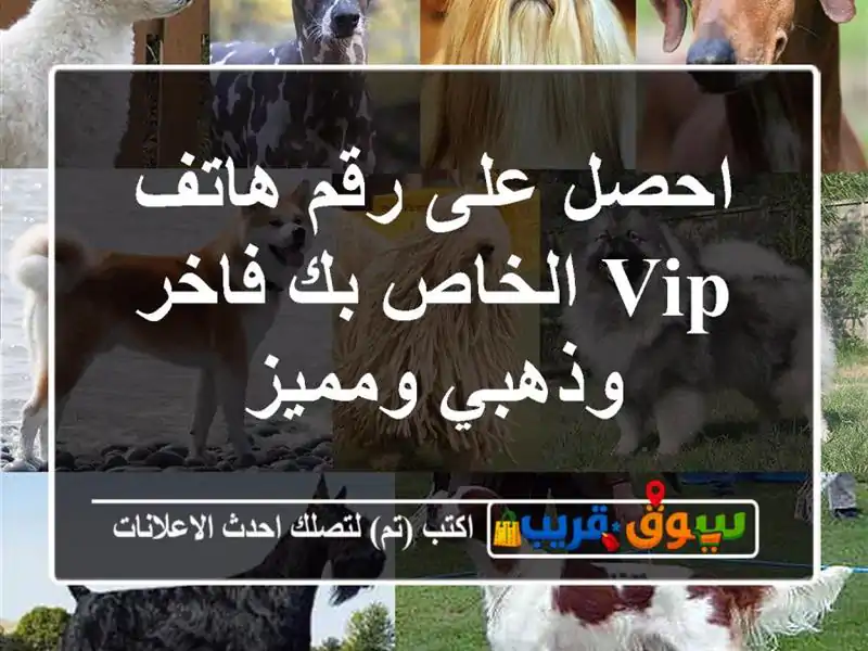 احصل على رقم هاتف VIP الخاص بك  فاخر وذهبي ومميز