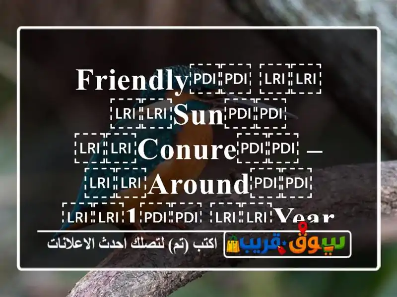 ⁦⁦Friendly⁩⁩ ⁦⁦Sun⁩⁩ ⁦⁦Conure⁩⁩ – ⁦⁦Around⁩⁩...
