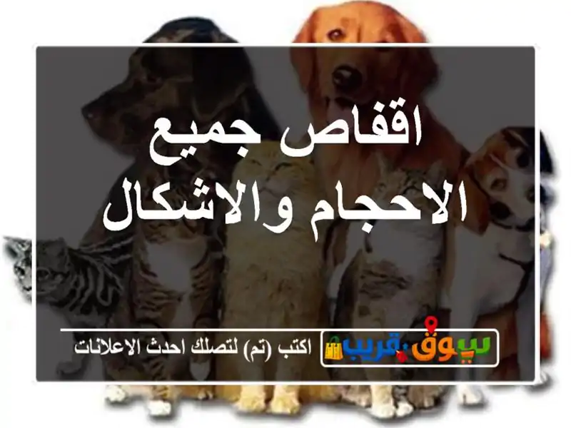 اقفاص جميع الاحجام والاشكال
