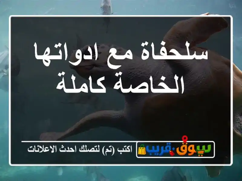 سلحفاة مع ادواتها الخاصة كاملة