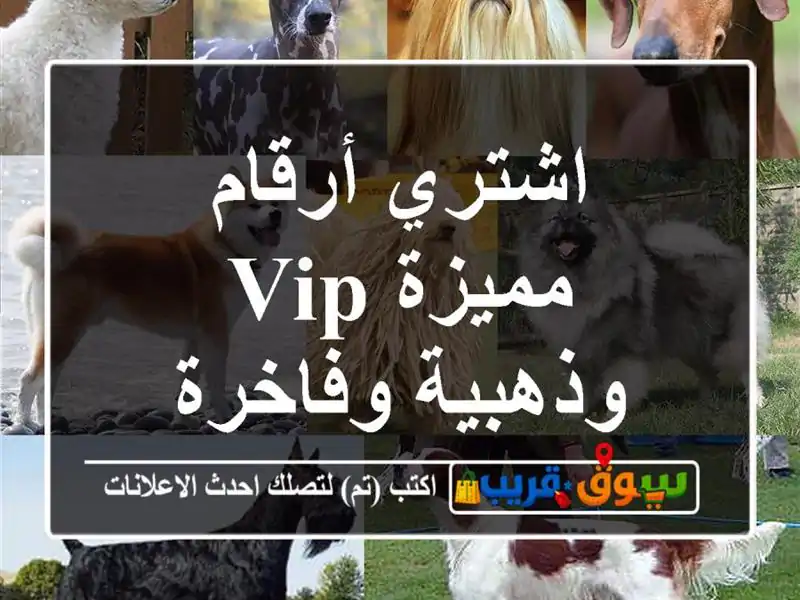 اشتري أرقام مميزة  VIP وذهبية وفاخرة