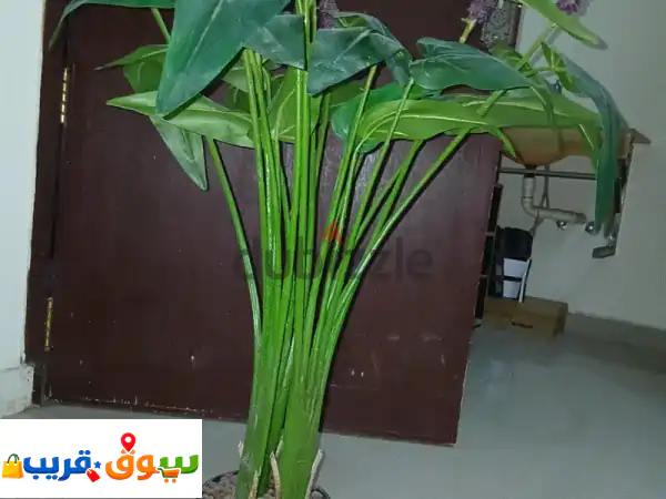 artificial plant  hight 80 cm
