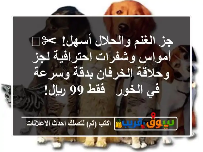 جز الغنم والحلال أسهل! ✂️ أمواس وشفرات احترافية...