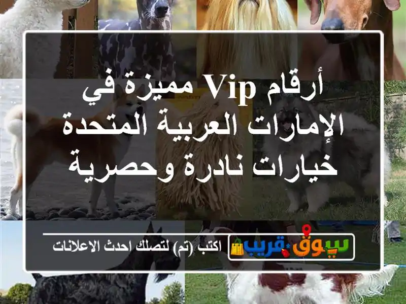 أرقام VIP مميزة في الإمارات العربية المتحدة...