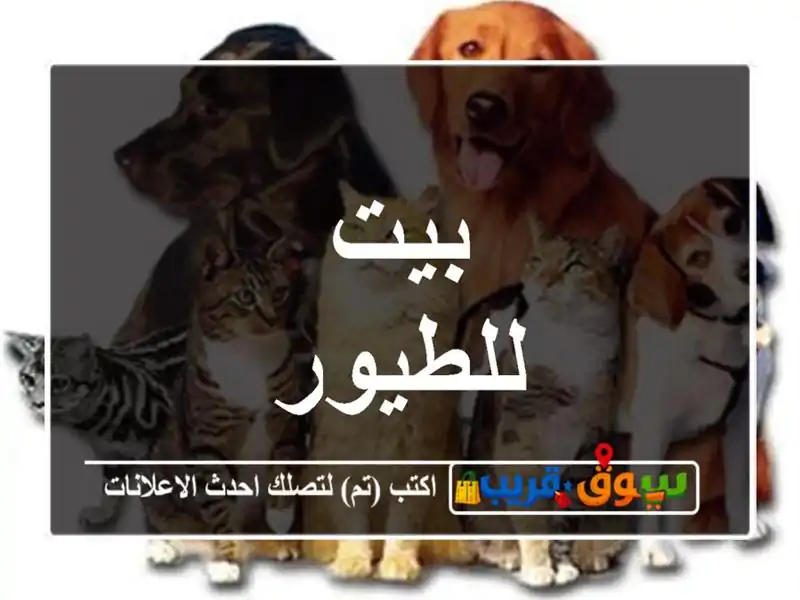 بيت للطيور