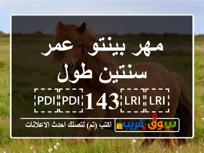 مهر بينتو/ عمر سنتين طول ⁦⁦143⁩⁩