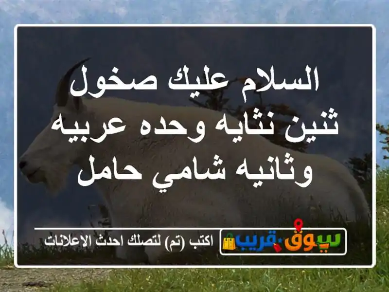 السلام عليك صخول ثنين نثايه وحده عربيه وثانيه...