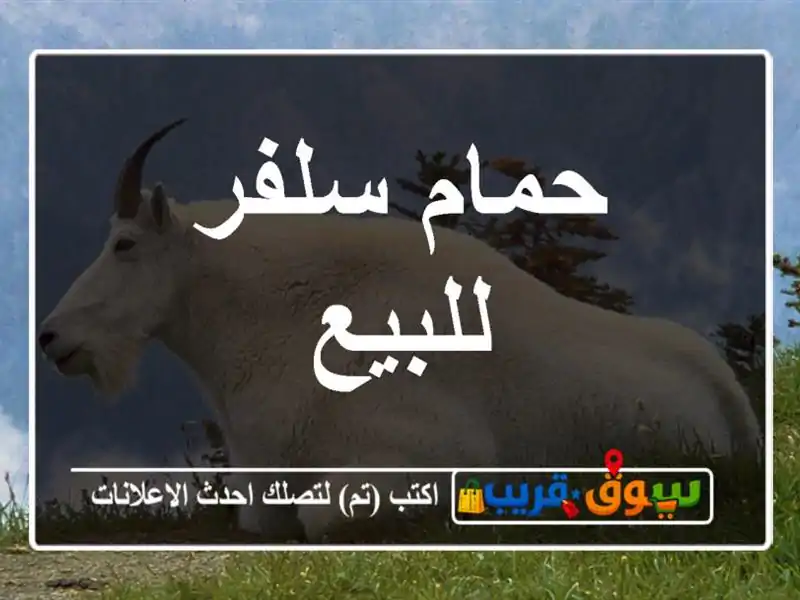 حمام سلفر للبيع