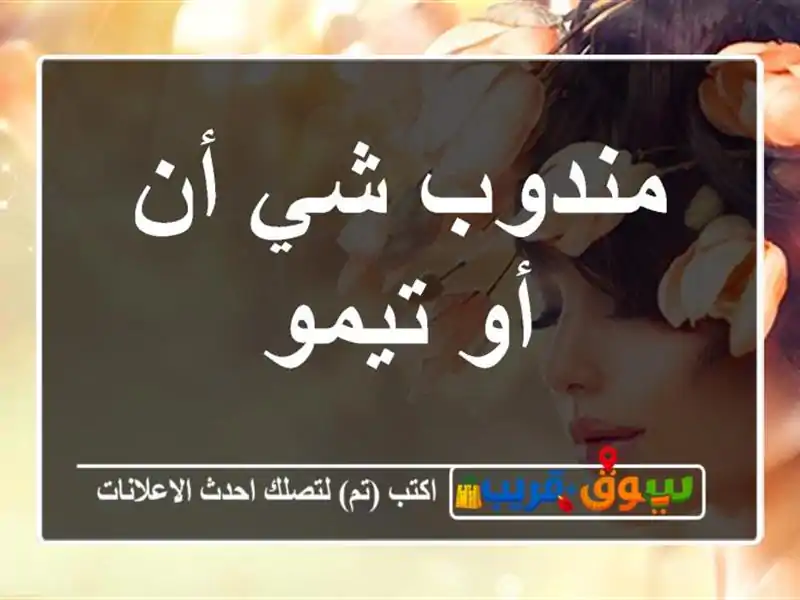 مندوب شي أن أو تيمو