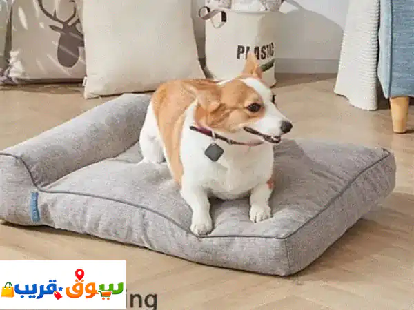 جهاز تعقب تتبع الحيوانات الكلامطب و القطط